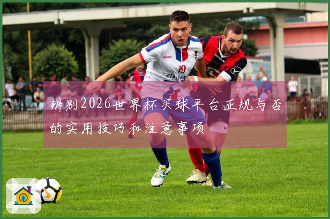辨别2026世界杯买球平台正规与否的实用技巧和注意事项