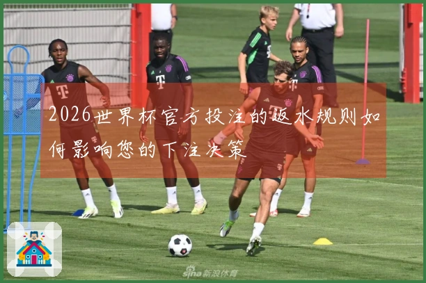 2026世界杯官方投注的返水规则如何影响您的下注决策