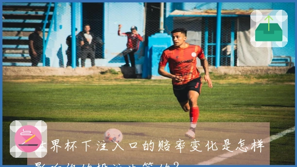 世界杯下注入口的赔率变化是怎样影响你的投注决策的？