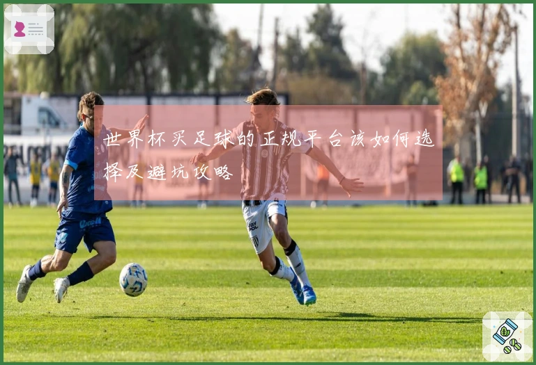 世界杯买足球的正规平台该如何选择及避坑攻略