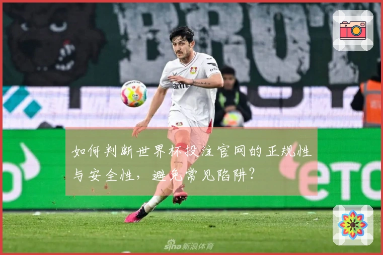 如何判断世界杯投注官网的正规性与安全性，避免常见陷阱？